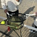 계산체육공원 | 서울 강남 세곡체육공원 테니스장 예약, 후기 -테니스장 도장깨기 #33