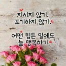 운영자 미션님이 바둑방에 올리신 글이 좋아서 옮겨옴 이미지