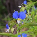 기계봉좌마을 이미지