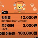 쿤이 | [안산 카페] 안산 데이트 | 고양이 카페 쿤이네집 후기