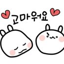 도명 태권 마루 이미지