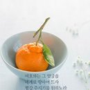 중앙-20 이미지