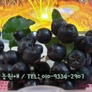 농업회사법인 (주)수농원 이미지