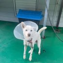 사천동물병원 이미지