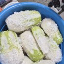 밀양시 종합사회복지관(자원봉사단체협의회) | 도시농업의 수확이 전한 따뜻함, 매화동 자원봉사자협의회의 두번째 나눔