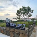 스테이 선흘 3917 네이버블로그