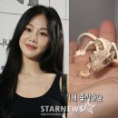 한지은, 뼈만 남은 반려 도마뱀 방치 동물학대 의혹에 "건강해" 해명 이미지