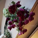 달이뜨면꽃이피고 이미지