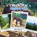 조인 위드 | 태국 치앙마이 여행 몬쨈 엘리핀팜 핫플투어