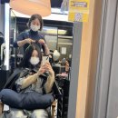 최가을헤어비스 이미지
