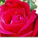 하늘담한의원 이미지