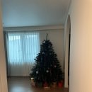 소원분식 | 여수 포레스트부케 후기, 크리스마스 처돌이들을 위한 숙소 추천(etc.리카, 로타리분식, 가치커피, 여...