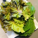 도가원족발부천위브점 이미지