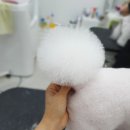 몽스샵 네이버블로그