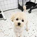 반자주 진해점 이미지