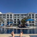 젊은날의수채화 | 올인클루시브 리조트 픽칼바트로스 블루스파 리조트 Pickalbatros Blu Spa Resort 3박 내돈내산 후기