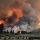 제로상점