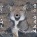 우리하숙 이미지