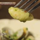 디노아 이미지