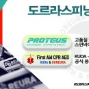 도르라핏 이미지