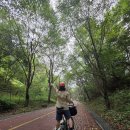 국토종주자전거길1-633 | 브롬톤타고 국토종주 633