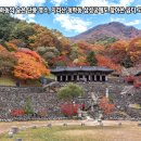 제199차 정기산행(10월 27일) 지리산 청학동 삼신봉(三神峰) 단풍산행 이미지