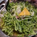 디엠지스테이 이미지