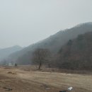 김순옥농장 이미지