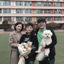 최승경 카카오 검색결과