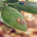 관고리입상석불 | 四字成語 총정리 &lt;ㄱ&gt; 790 괴사병반~괴산미륵산성