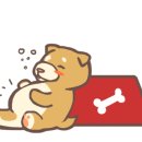 황가집