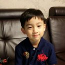 닥스키즈，캔키즈 | 버버리키즈 직구 후기(폴로사이즈와 비교)