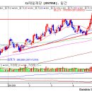 CJ제일제당(097950) TEXT 종목진단 (성투사 주식분석) 이미지