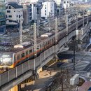 G3906 이미지