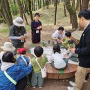 숲 체험-엄마 아빠와 함께해서 더 즐거웠어요!! 이미지