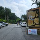 잣나무향기 이미지