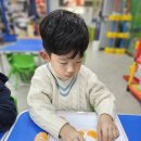 귤꽃푸드 Daum카페