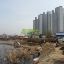 서전타운 네이버블로그