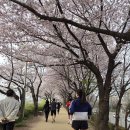 2025 양천 마라톤 10km 후기! (기록 이상하신 분? *기록 바뀜)