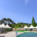 청암산오토캠핑장 | 군산 청암산 오토캠핑장 당일 몽골텐트 후기