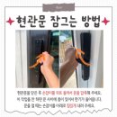 강화도독채펜션 애견동반 가능한 감성숙소 따숨