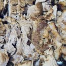 초당동-2 이미지