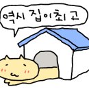 월정리숙소 월정주택 이미지