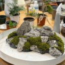 느티나무가든 | tvN 〈얄미운 사랑〉 배우 이정재 집 세트장 소품 ｜석부작 테라리움 주문제작·세트장 납품 후기