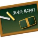 한중상무중심 이미지
