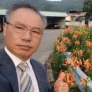 천동경로회&amp;참나리 이미지