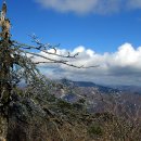 태백산가든 이미지