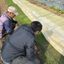 포천시농업기술센터 | 포천시농업기술센터, 안전육묘 현장기술지원 강화