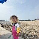 마시안갯벌체험장 | 인천 마시안 갯벌체험장 아이와 함께 해루질 다녀온 후기