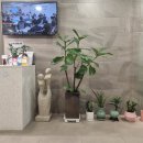 테마가있는치과의원 이미지